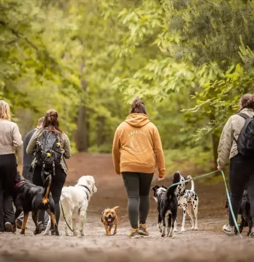 Cours collectif: promenade educative