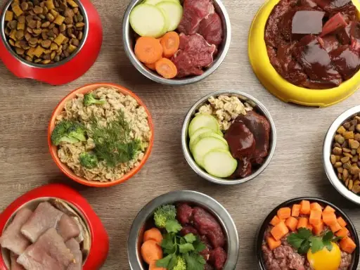 Alimentation conseils de base