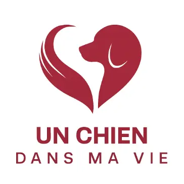 Un Chien Dans Ma Vie